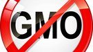 Do you know what genetically modified foods are on your plate